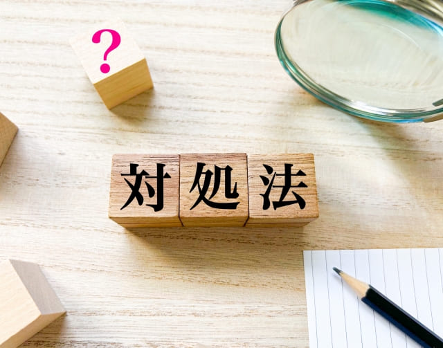 追いかけ回すメダカへの対処法